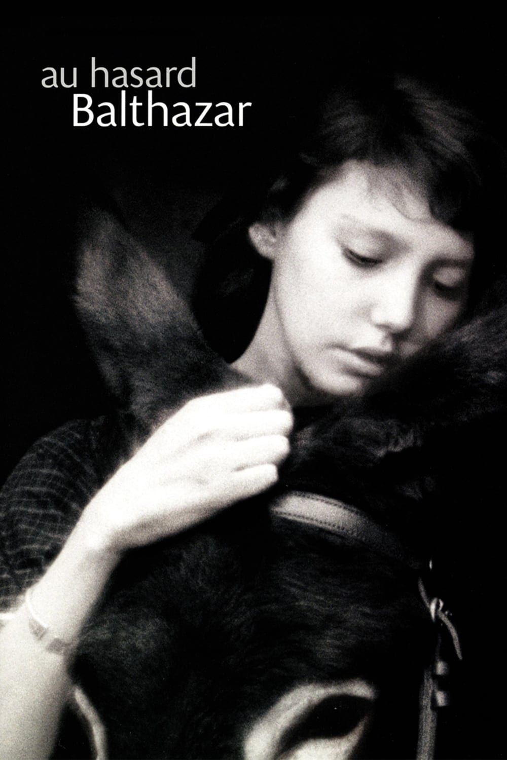 バルタザールどこへ行く