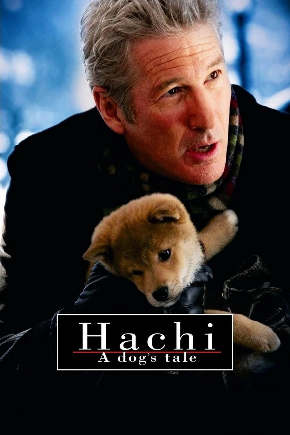 HACHI 約束の犬