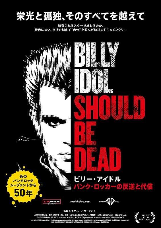 ビリー・アイドル　パンク・ロッカーの反逆と代償